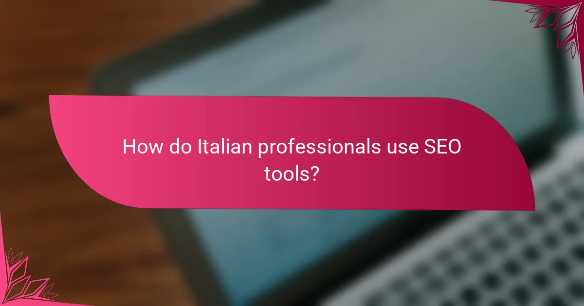 How do Italian professionals use SEO tools?
