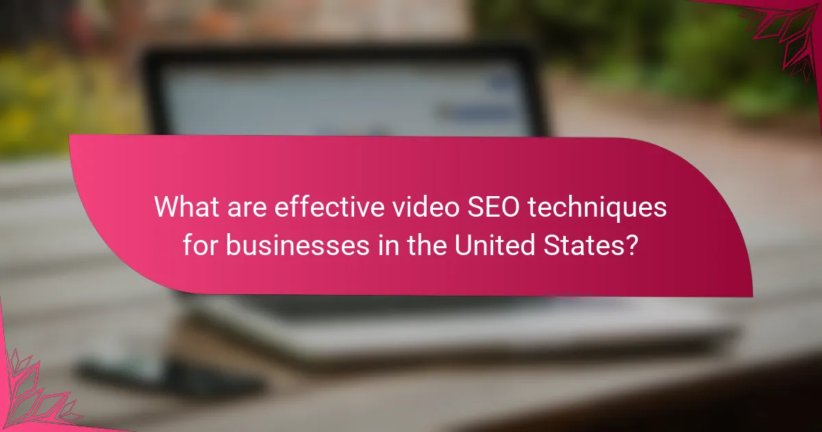 What are effective video SEO techniques for businesses in the United States?